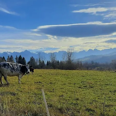 Chalpy Na Wierchu * Rzepiska